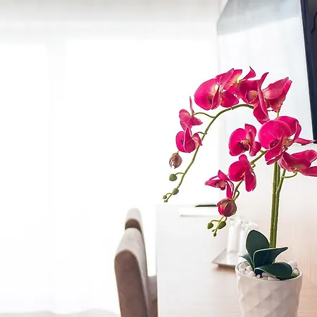 일 라고 아파트호텔