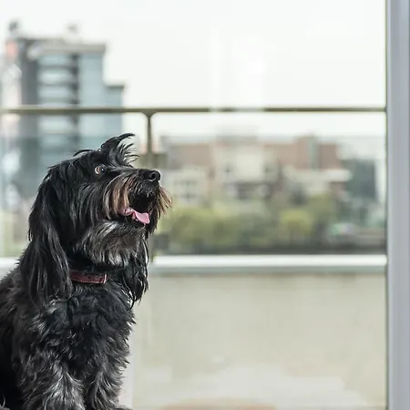 Ξενοδοχείο με διαμερίσματα Il 3*